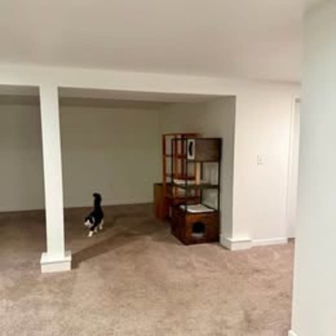 Tida Gherman's room