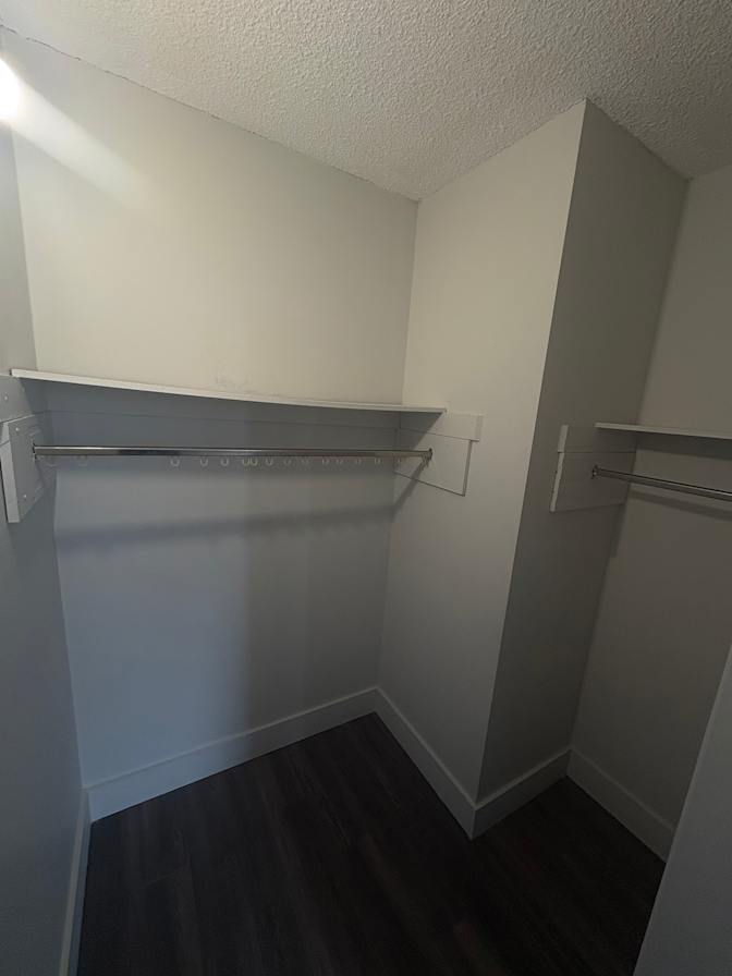 Erin's room