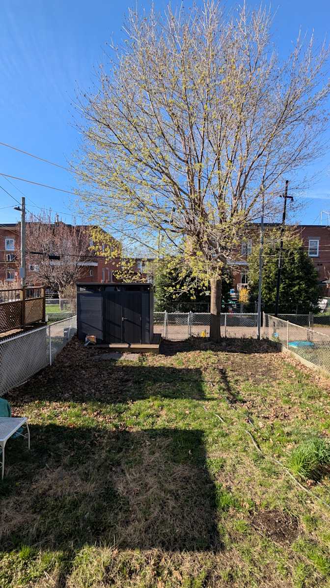 Vincent Nadon's room