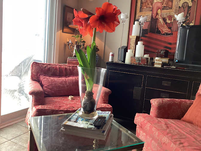 Jeffrey Pommer's room