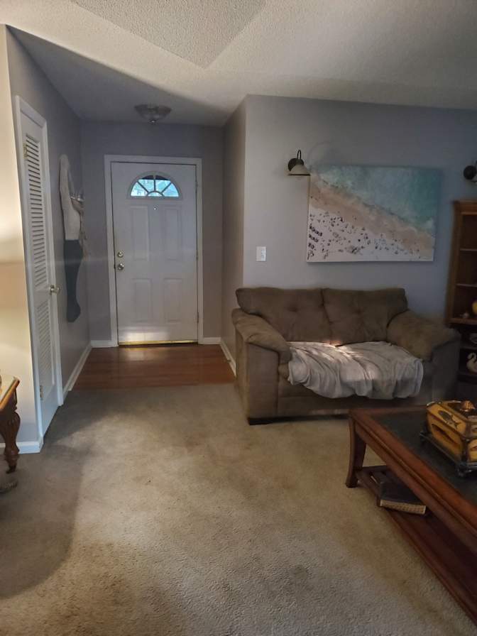 Laura Nowlin's room