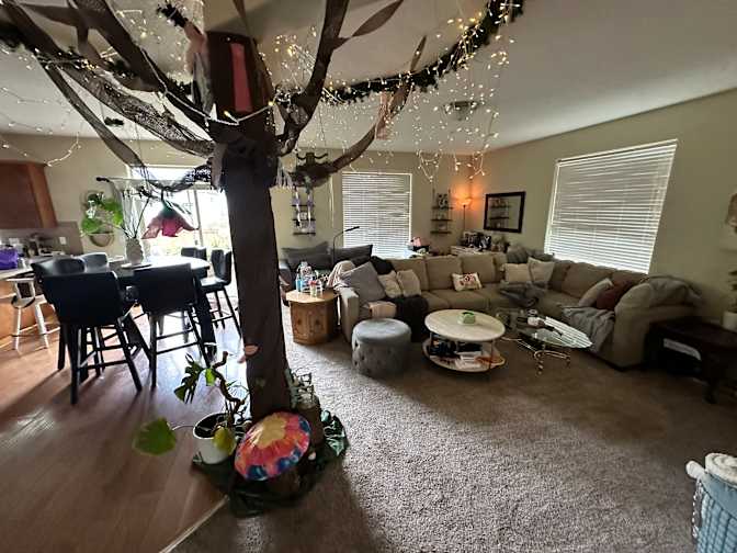 Zanthe's room