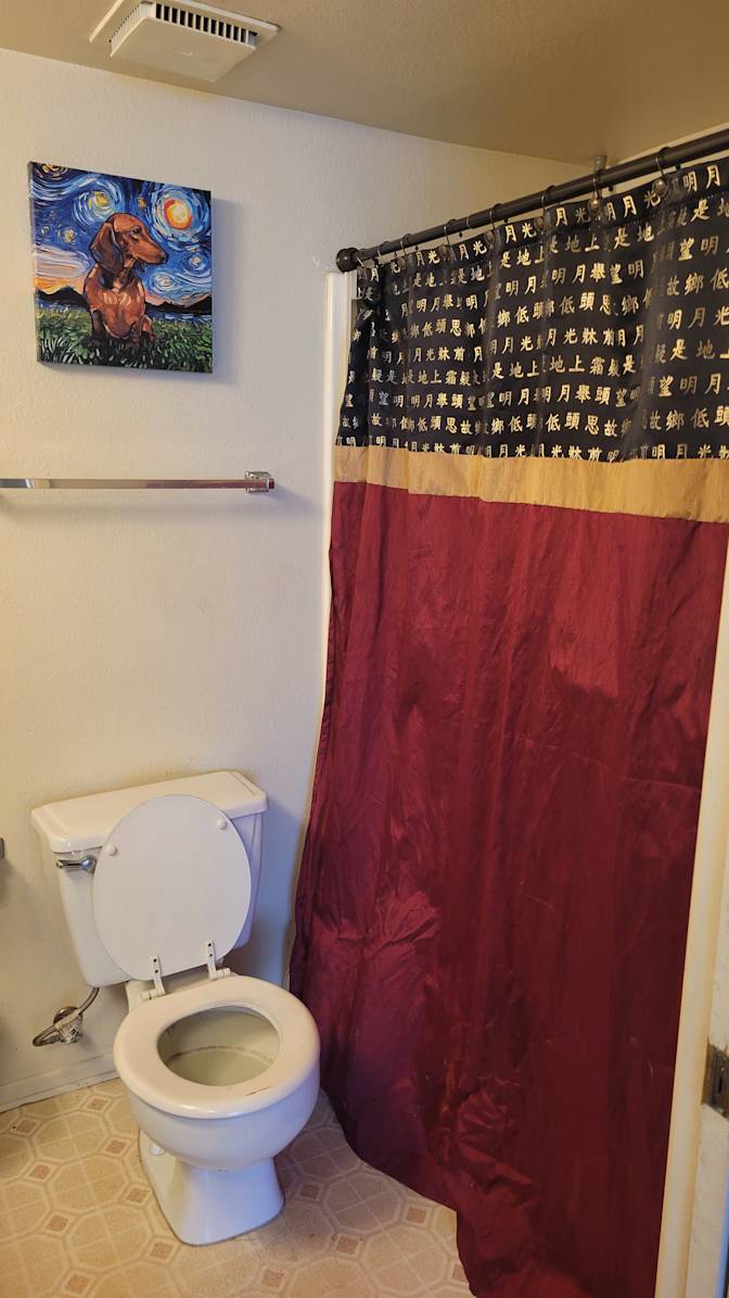 Carrie's room