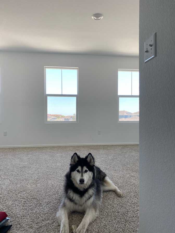 Bianca's room