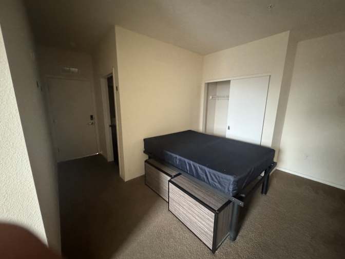Trace Hasz's room