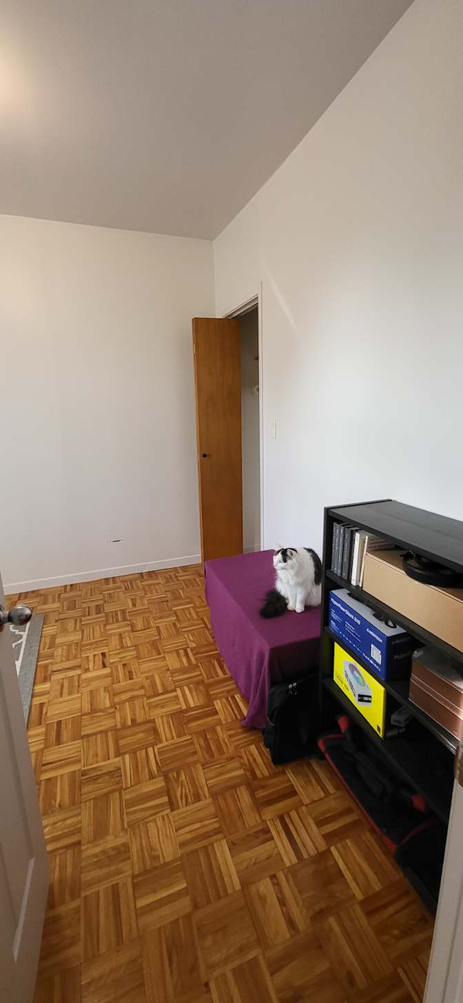 Maxime's room