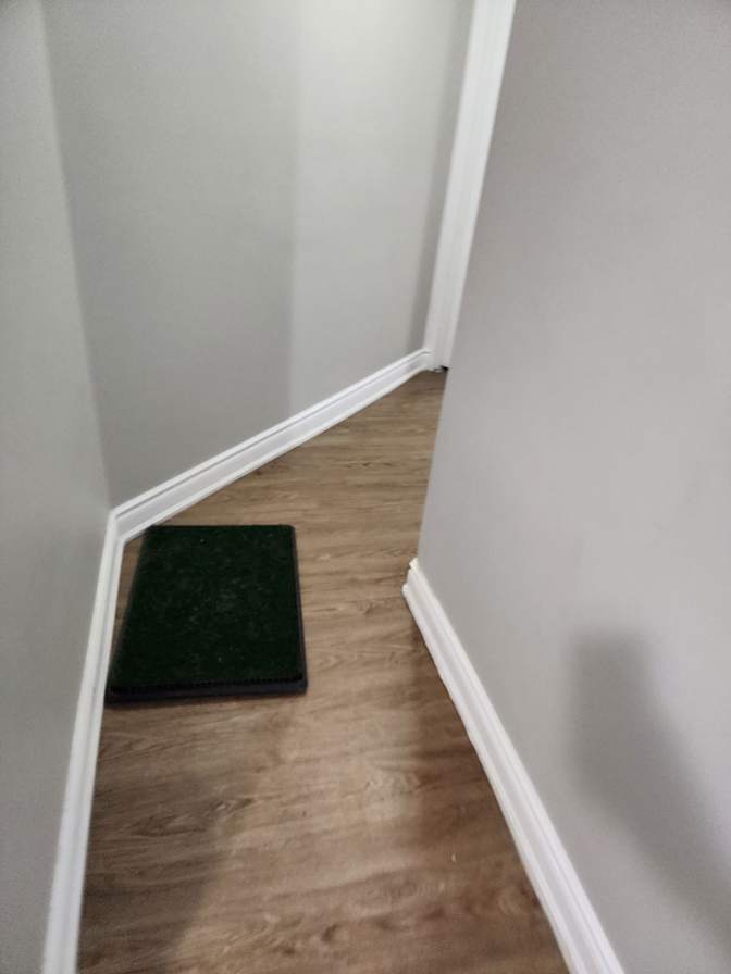 David's room