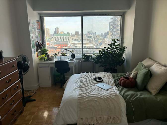 Ozgun Varol's room