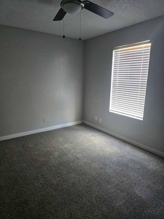 Stephanie's room
