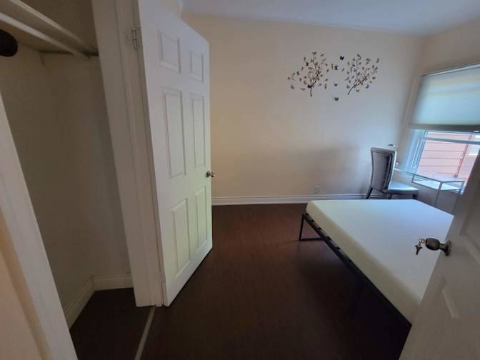 Amy's room