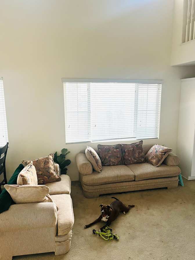 Domonique's room