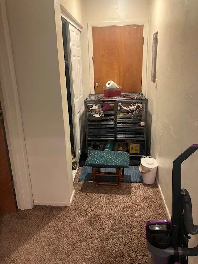 Hannah's room