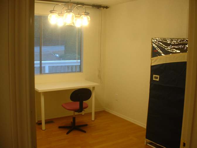 Xuebing's room