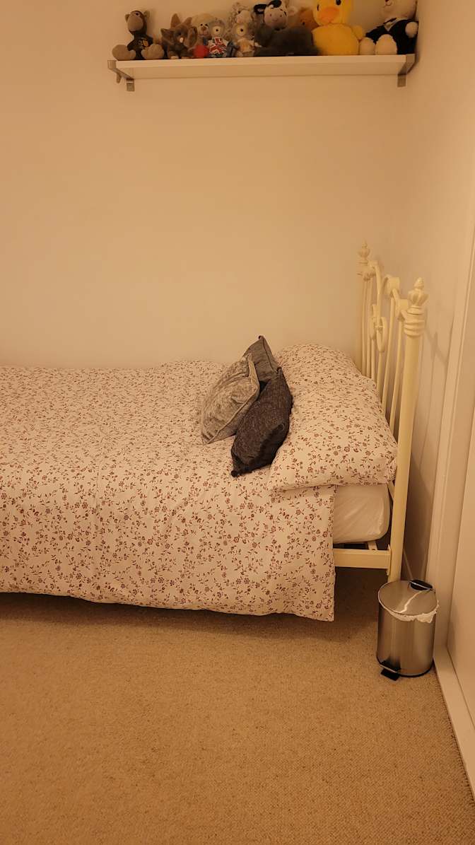 Mrs Michelle iris cleary's room