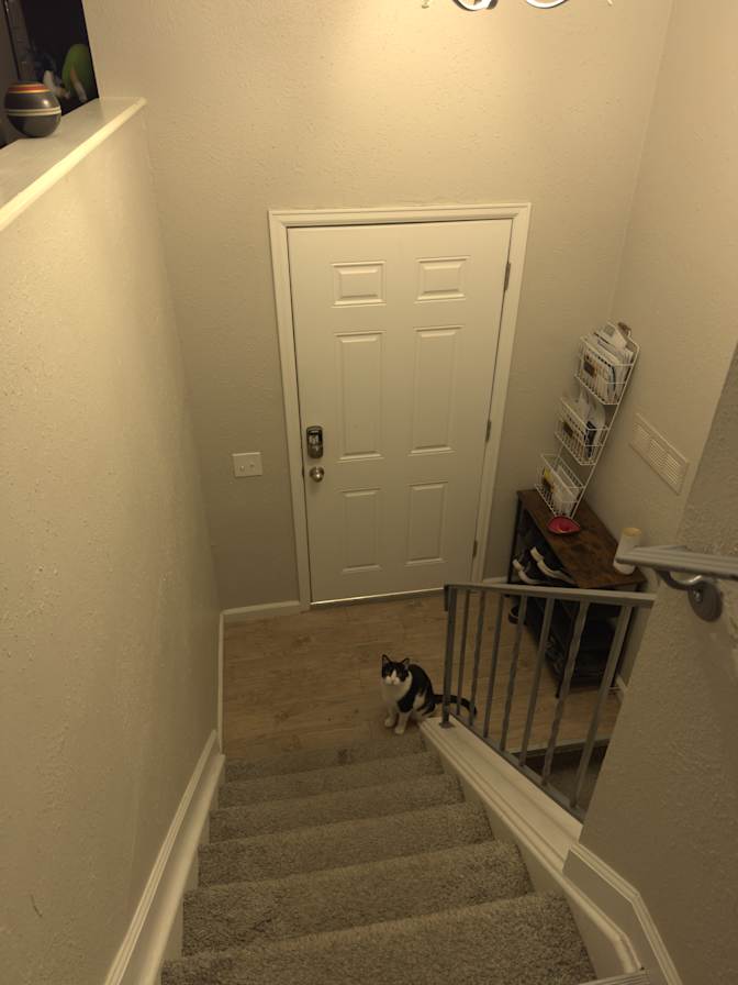 Shannon's room