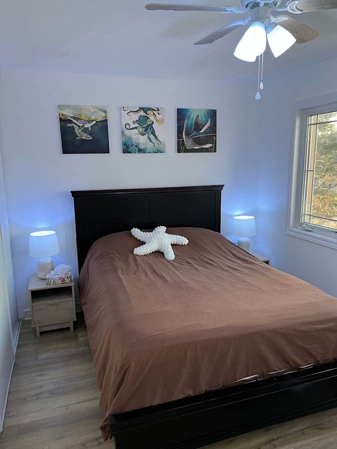 Amanda's room