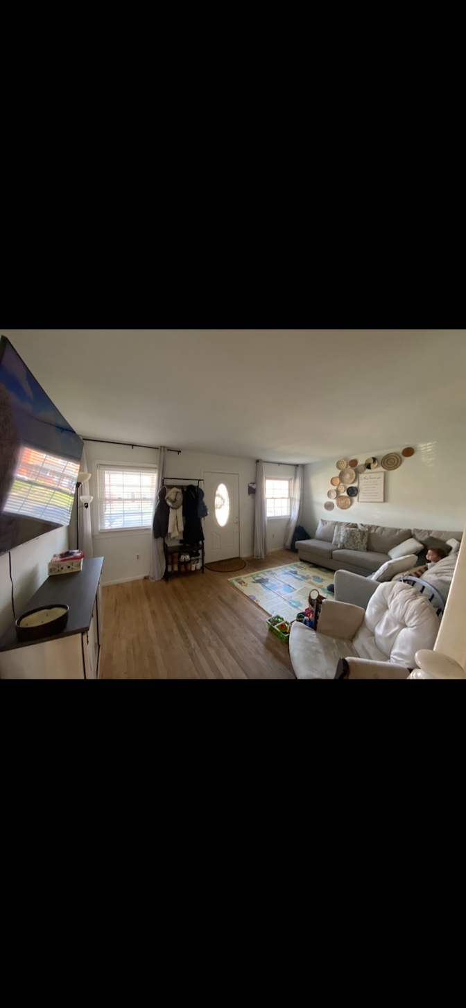 Haelly's room