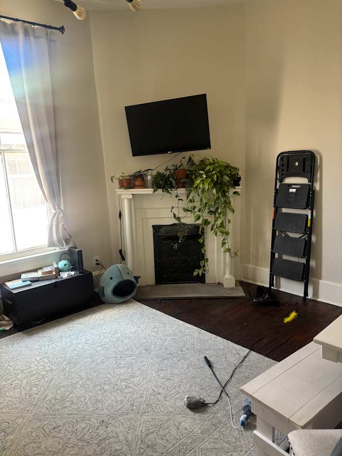 Margo's room