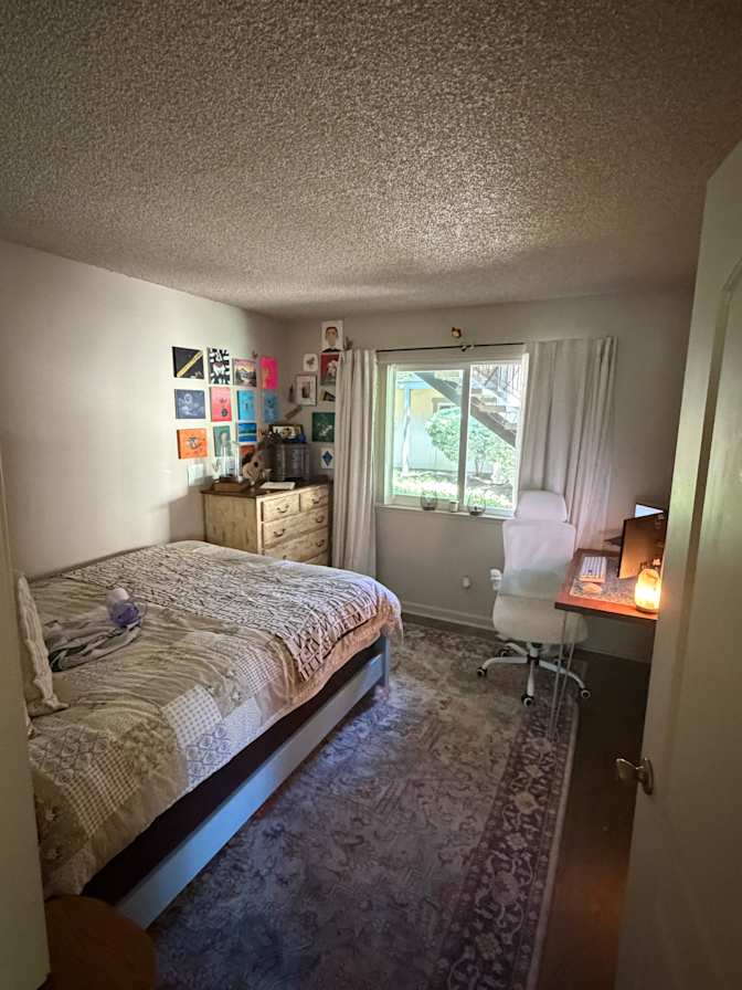Ani's room
