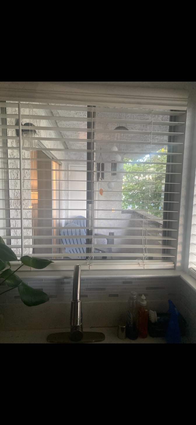Daniel Vallejo's room