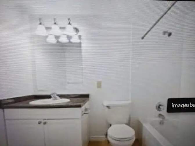 john Lawrence Bortolin's room