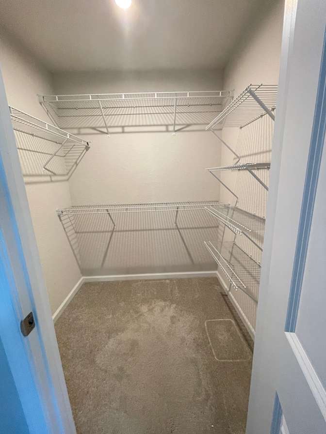 David's room