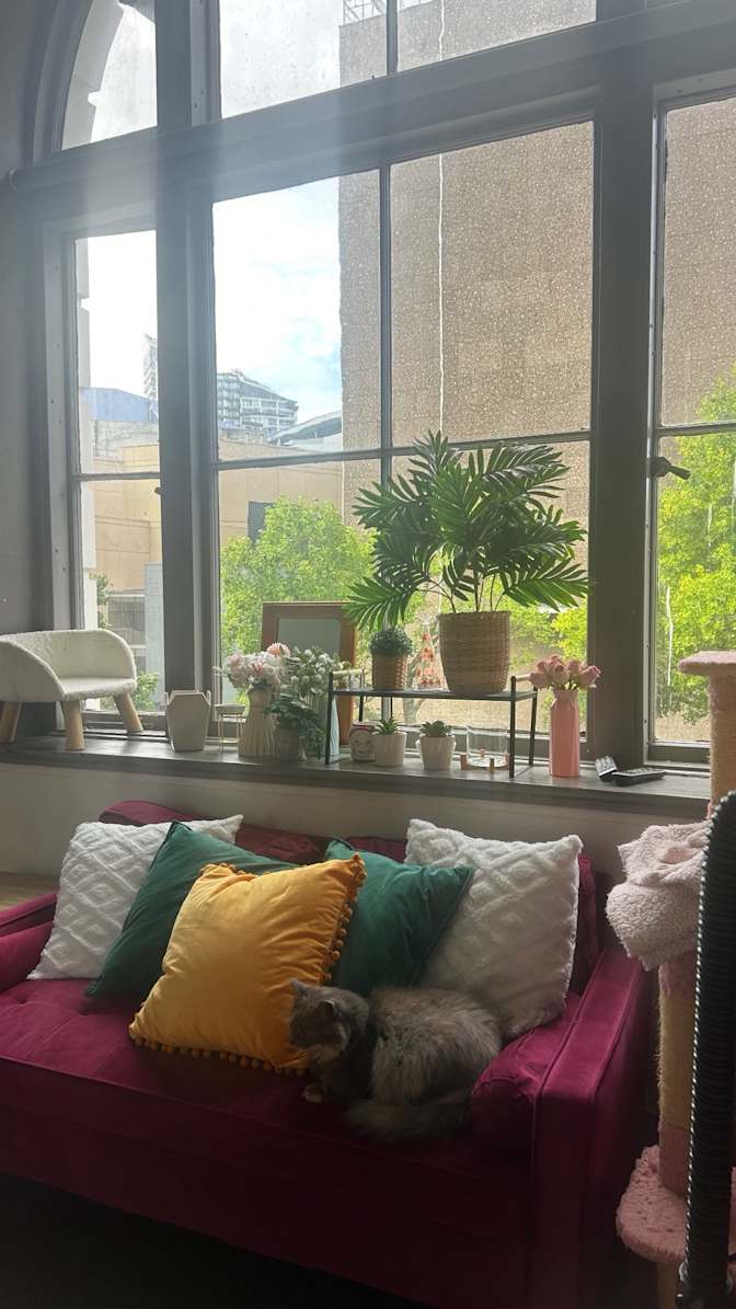 Chanel's room