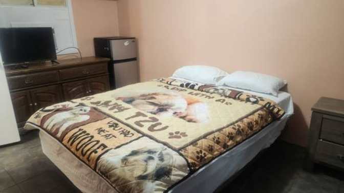 David's room