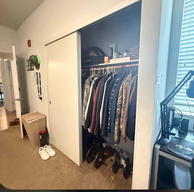 parisa's room