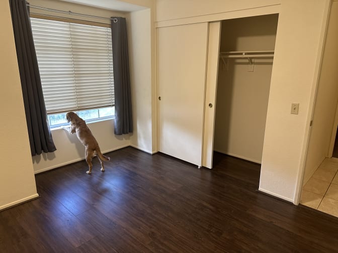 Rob's room