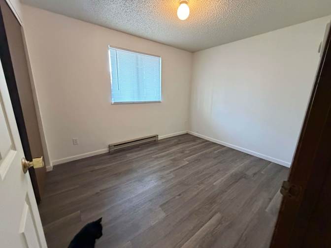 Alison's room