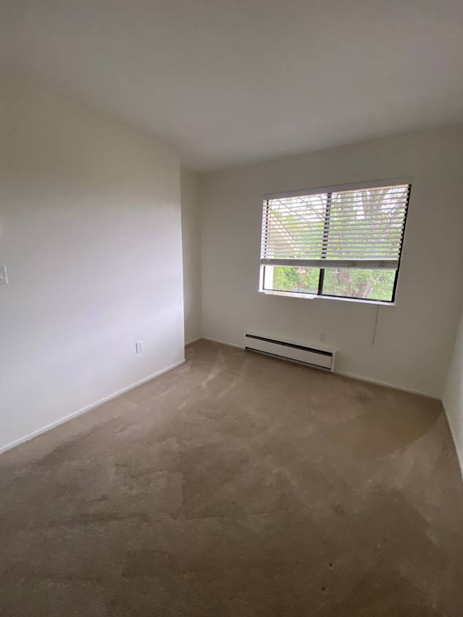Javier Curto's room