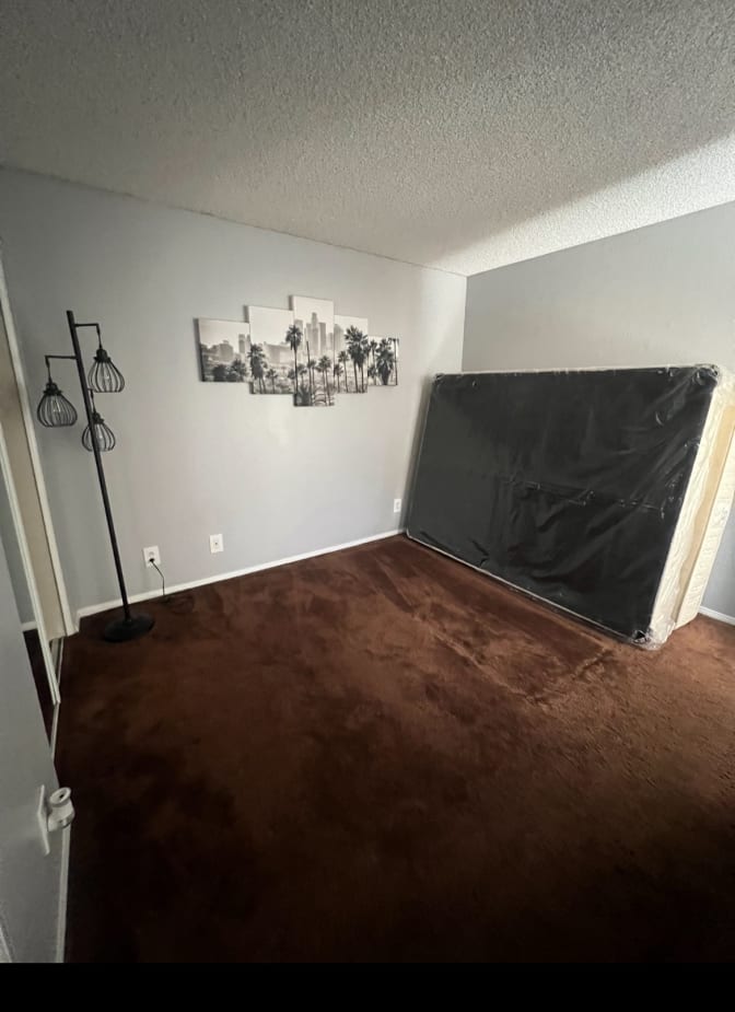 Rocky's room