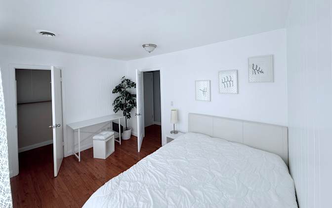 Mary's room