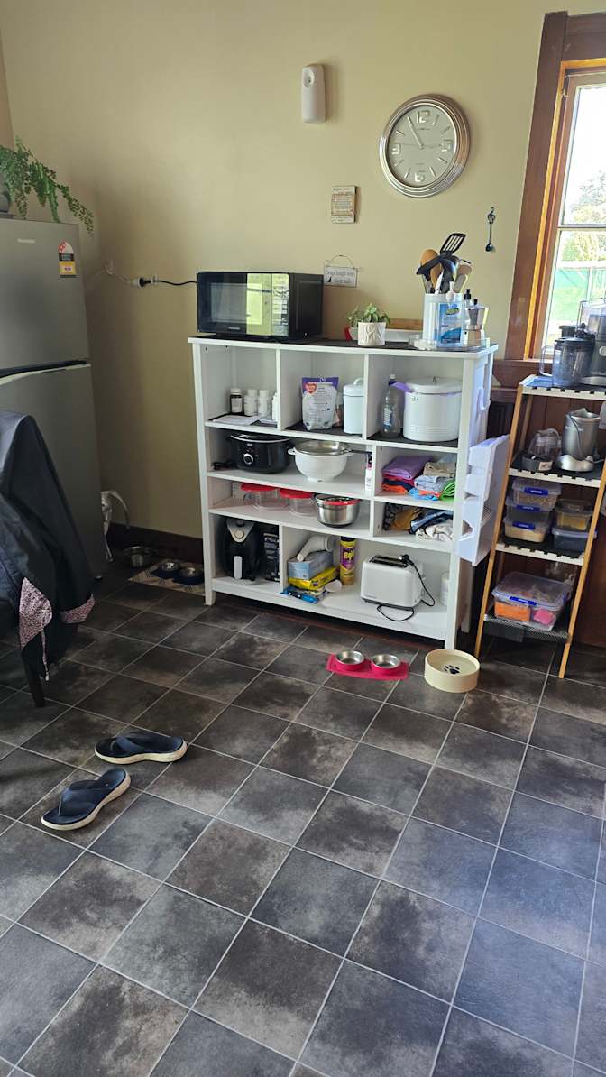 ANDI's room