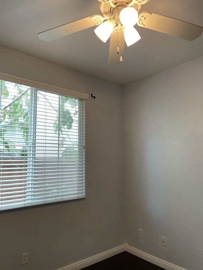 Sandy's room