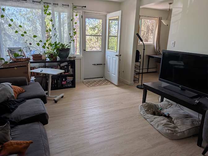 Vanessa's room
