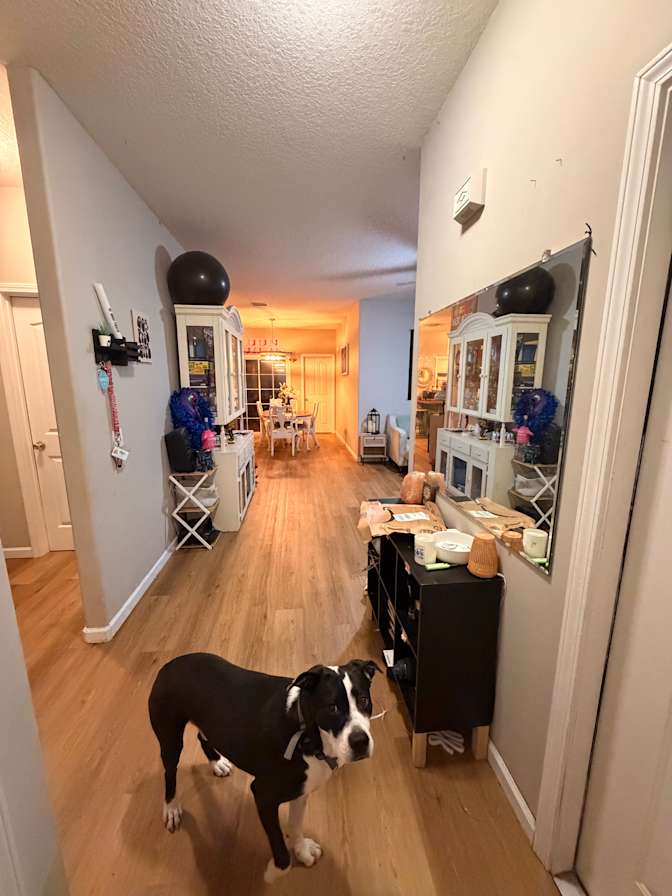 Anna's room
