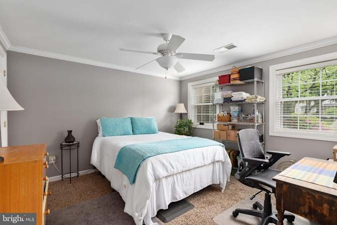 Stephanie's room