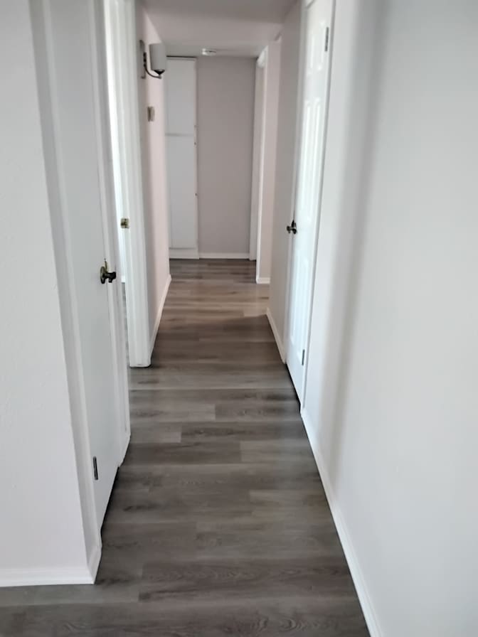 Mo's room