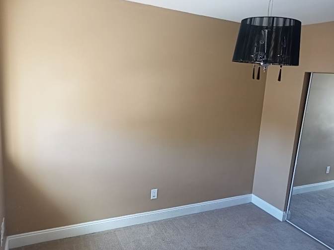 Vladimir P.'s room