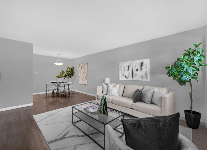 Prakriti Grover's room