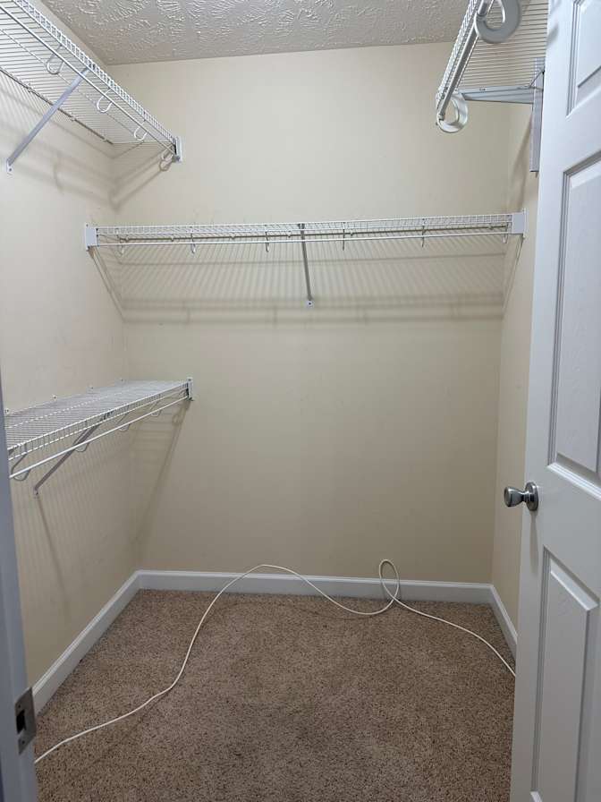 Gina's room