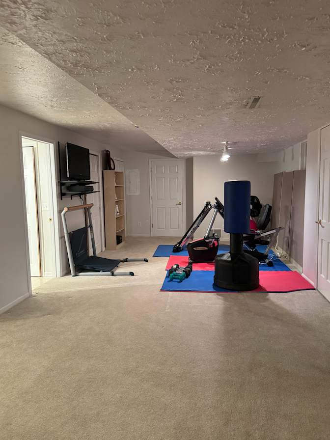 WFH professional's room