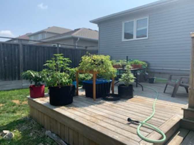 Chris Gadbois's room