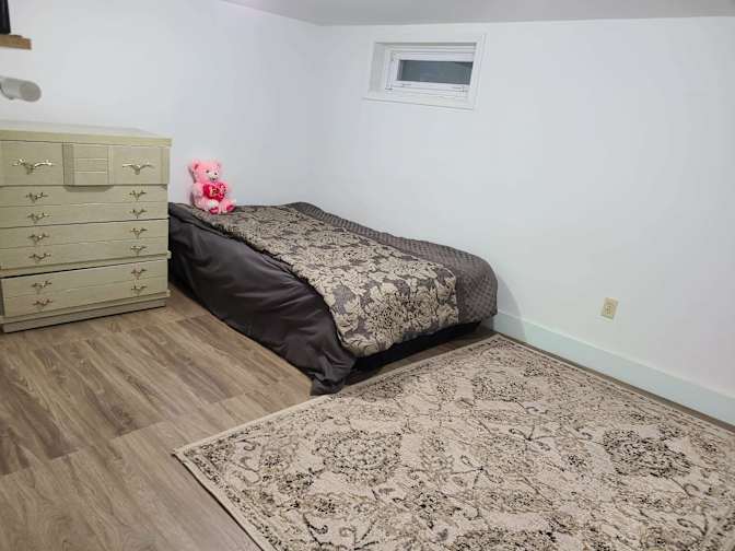 Huskie Wildlife's room