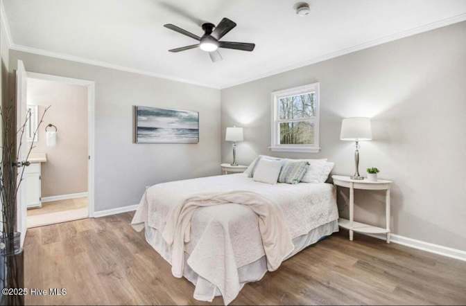 Teresa's room