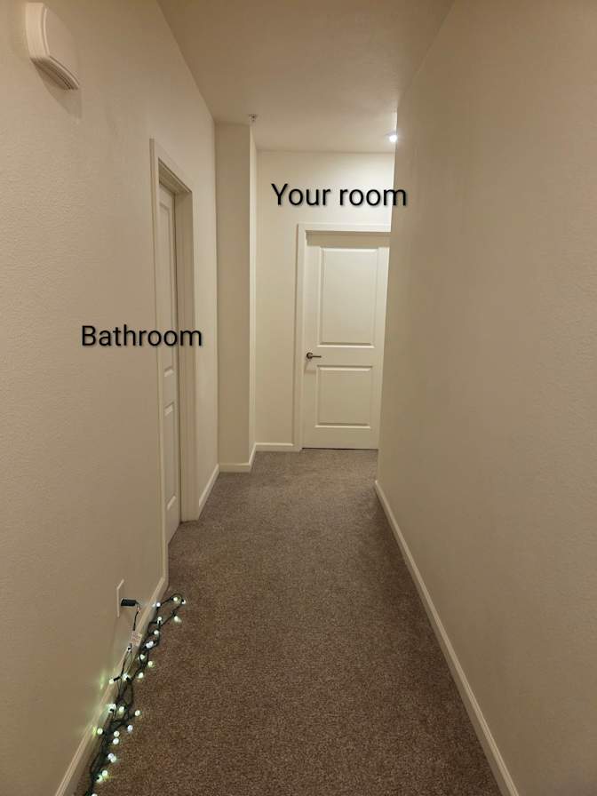 Ocean's room