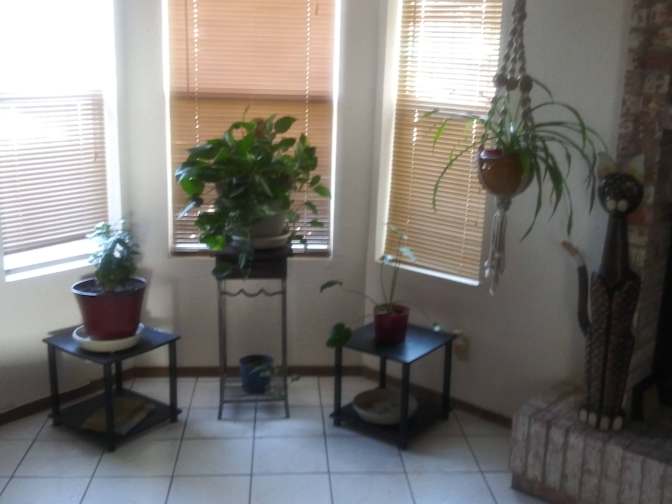 Andres's room