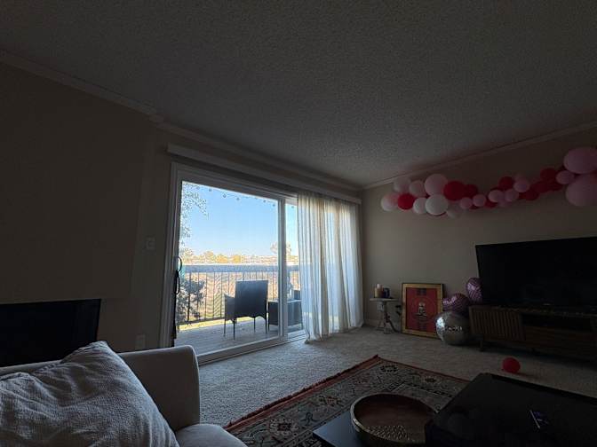 Darby's room